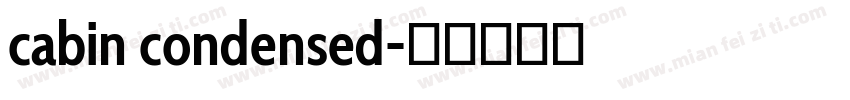 cabin condensed字体转换